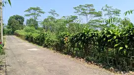 JUAL TANAH  KEBUN  SAMPING VILA