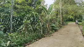 1 KM KE JL. UTAMA   3 KM KE GERBANG TOL  DURIAN, MANGGIS, PALA DLL