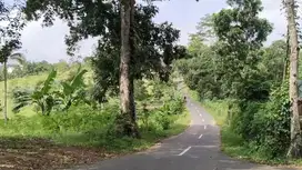 TANAH WANAYASA PURWAKARTA || 1600M².
