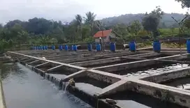 Jual Kolam Deras, Kolam Ikan, Sudah Produksi Perusahaan Prinadi