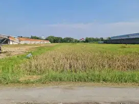 Tanah murah strategis dekat mall the park solo baru