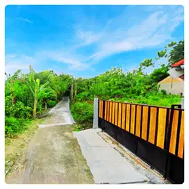 Tanah Murah Jogja