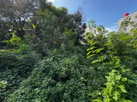 Jual tanah lokasi bagus