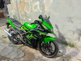Kawasaki ninja rr new