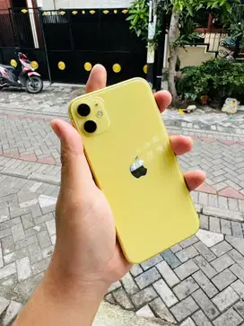 Iphone 11/64 Yellow