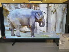 Samsung QLED 2025 43 inch 43Q8F5