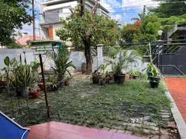 Tanaman dan Pot ambil ke rumah