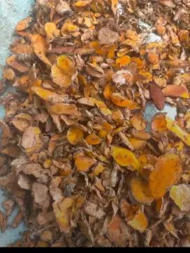 Kunyit kering asli organii