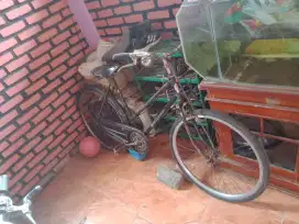 Sepedah jengki pehonik cewek bangun Monggo murah saja