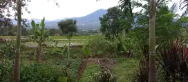 Dijual Lahan Kebun & Rumah Tinggal cocok untuk Villa