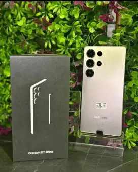Samsung S25 Ultra