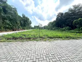 Jual Murah Tanah Jogja Lingkungan Kos Kampus