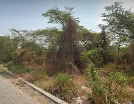 Gresik. Jln Padang Cerme. Lahan industri
