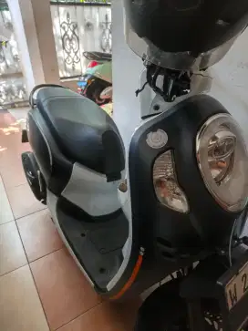 Honda scoopy stylish blue 2023