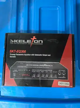Skeleton Preamp Parametric Equalizer Karaoke