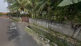 Jual Kebun Jati Platinum 1500 Pohon, 100 Durian Musang King Dekat IPB
