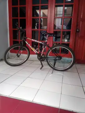 Sepeda ukran 24
