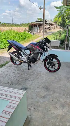 Tiger Revo 2012