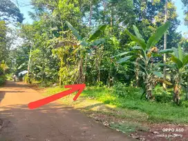 Tanah Kebun Murah 1100m² Jonggol, Cileungsi Bogor timur