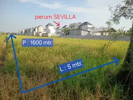 Monggo Investasi di Kota Pasuruan Dijual Sawah dekat perum Sevilla