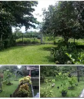 Di Jual Cepat Tanah Milik Pribadi
