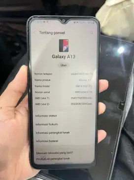 Samsung galaxy a13