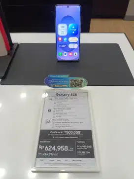 Samsung Galaxy S25