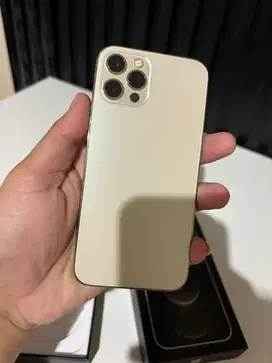 Iphone 12 pro 256 inter (ke blok bukan sim lock)