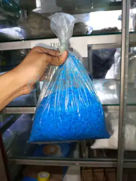 Punya Kolam Renang tapi Lumutan? Trusi / Terusi Solusi Perawatan Kolam