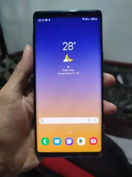Samsung Note 9 6/128 TT/BT Ex Sein Retak