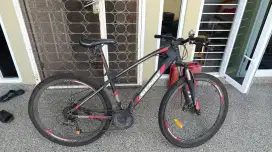 Genio mountain bike M-345