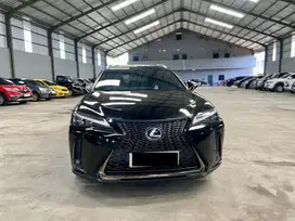 Lexus UX 200 2.0 F Sport 2019 / 2020 AT Matic, Super terawat