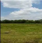 Tanah Industri Semanu Gunung Kidul Yogyakarta