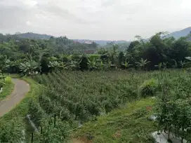 Jual Cepat Tanah Subur : Air Normal, View Bagus, Sejuk || PARIWISATA