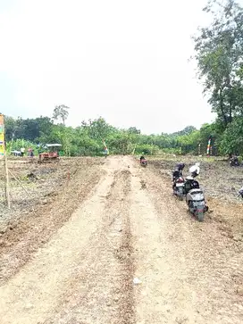 Tanah kavling darat di desa karangmalang ketanggungan brebes