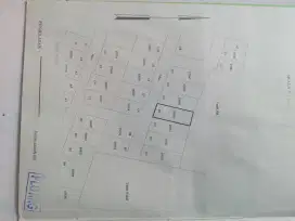 Dijual cepat tanah randuagung gresik belakang KIG dan GKB