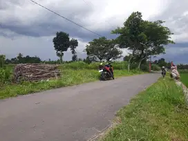 Dijual tanah sawah view merapi dan hamparan persawahan di manisrenggo