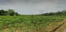 Tanah murah hadap timur