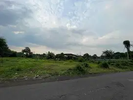 Tanah Murah dijual di Rembang Pasuruan