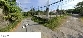 Tanah Sekar sari view sungai Ayung