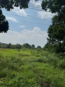 Tanah dijual di Pasuruan,Legok, Gempol jawa timur