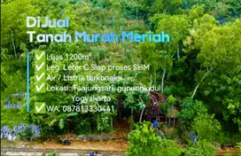 Tanah Murah Luas 1200m² Harga 55 juta Lokasi Tanjungsari Gunungkidul