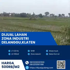 Dijual tanah industri lokasi delanggu strategis