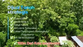 Murah, Luas 6200m² Harga 165 juta Lokasi Tanjungsari Gunungkidul