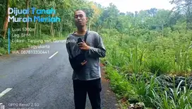 Jual Murah Luas 5300m² Harga 140 juta Tanjungsari Gunungkidul