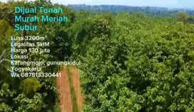 Dijual tanah subur Luas 3200m² harga 130 juta lokasi Karangmojo GK