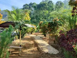 Strategis Tepi Jl Raya Kemuning Cocok Untuk Buka Resto/Cafe/Villa