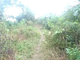 DIJUAL TANAH SIAP BANGUN DEKAT SMAN 7 SEI SELINCAH PALEMBANG