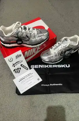 nike p6000 metalic silver original✅