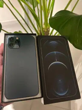 iphone 12 pro max 128gb emang baru beda